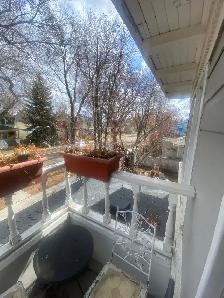 Furnished 1 BDR APT/NAIT/Kingsway/Monthly or Longterm - Photo 4