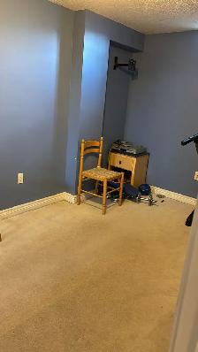 Fully Furnished 2-Bedroom Basement Apartment for Rent - Photo 3