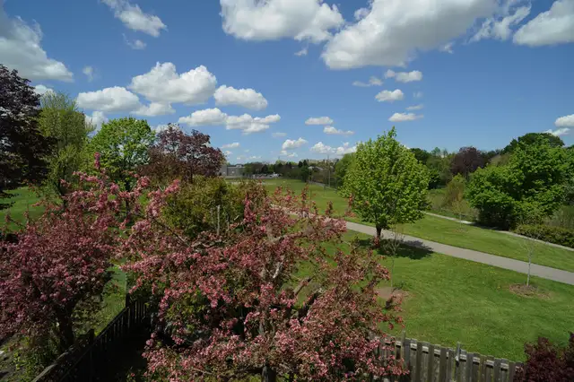 Large bsmt. room with own kitchen & bathroom. Finch/Warden - Photo 9