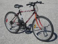 MID SIZE 24' TRIUMPH RAVINE 15 SPEED TRAIL/MOUNTAIN BIKE!