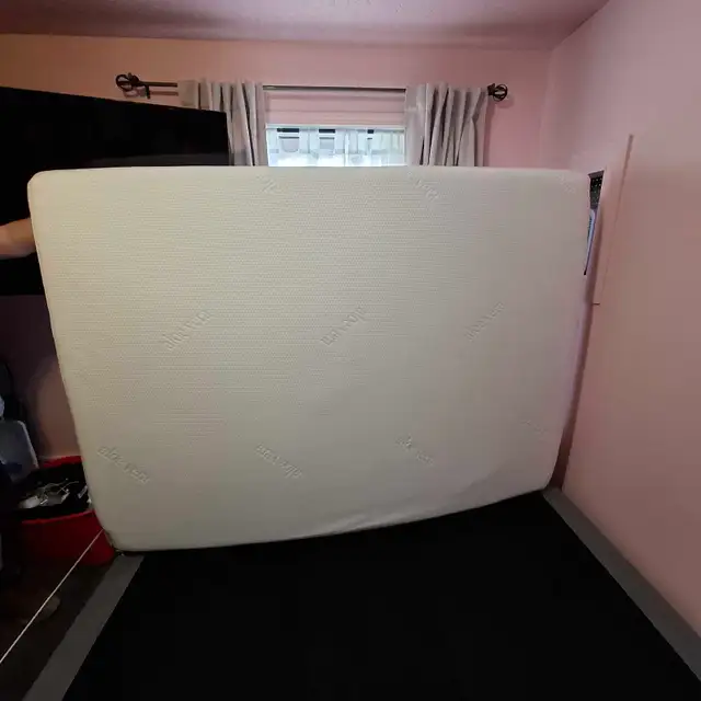 FREE mattress full size. NO BUGS or STAINS