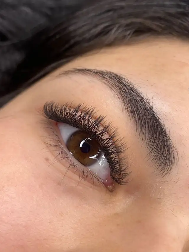 Brampton lashes