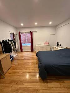 Métro Joliette Grande Chambre à louer,