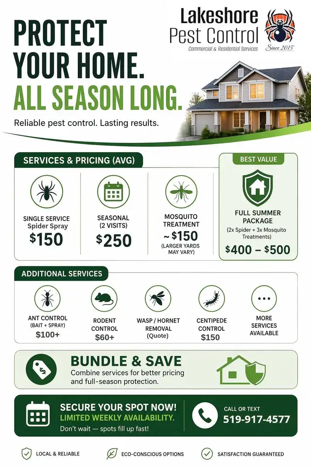 Stop Spiders & Bugs Now – Seasonal Deals - Photo 2