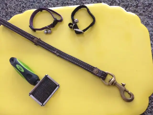 PLUSIEURS ITEMS POUR CHIEN OU CHAT: $5.00