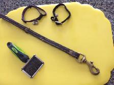 PLUSIEURS ITEMS POUR CHIEN OU CHAT: $5.00