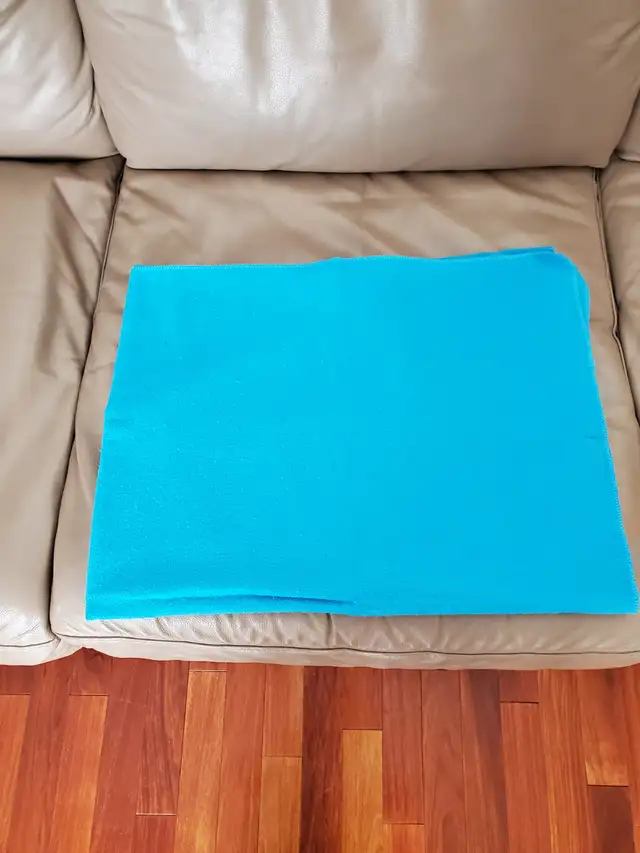 PLUSIEURS ITEMS POUR CHIEN OU CHAT: $5.00 - Photo 9