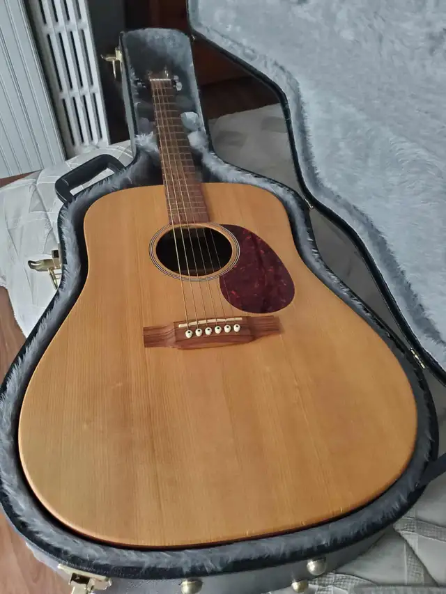 Martin guitar