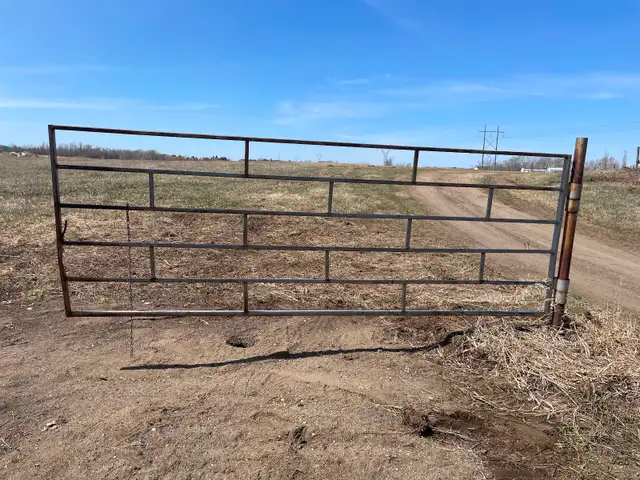 Livestock steel gates $125 and livestock panels $95