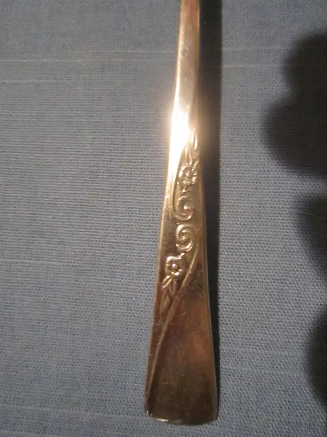 #79-114  REVELATION silverware set for 12