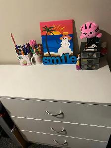 7-min to Ontario Tech | Furnished Room | Female | May–Aug - Photo 3