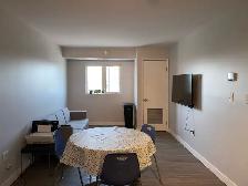 7-min to Ontario Tech | Furnished Room | Female | May–Aug - Photo 7