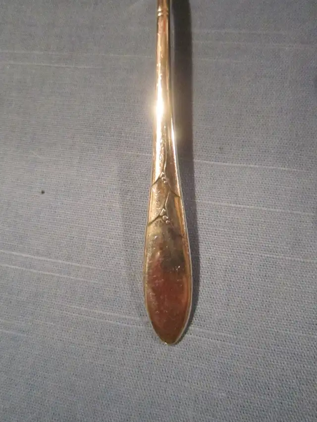 #22-72I  LADY HAMILTON silverware set for 8