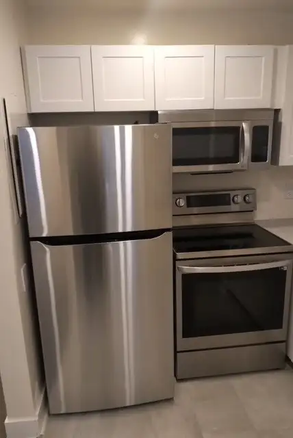 Renovated 1 Bedroom apartment - Photo 4