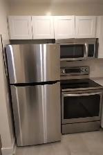Renovated 1 Bedroom apartment - Photo 4