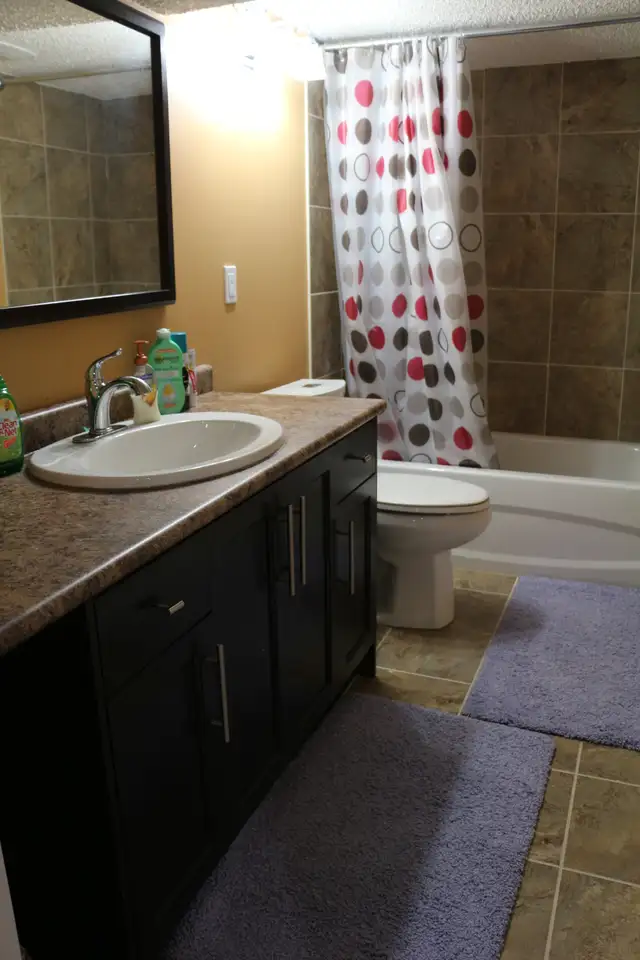 2 Bedroom Basement Wildrose Area - Photo 8