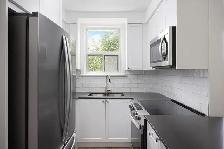 Studio Apartment for Rent - 26 Albert Avenue - Photo 5