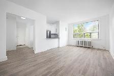 Studio Apartment for Rent - 26 Albert Avenue - Photo 6