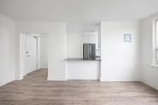 Studio Apartment for Rent - 26 Albert Avenue - Photo 8
