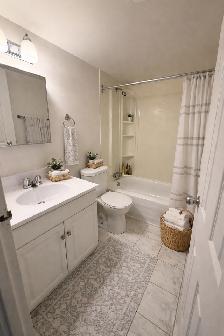 1 Bedroom- 170 Lees Ave Rideau East Apartments - Photo 4