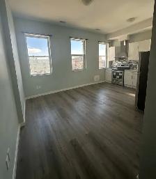 Modern, Spacious 2-Bedroom Apartment King and Richmond