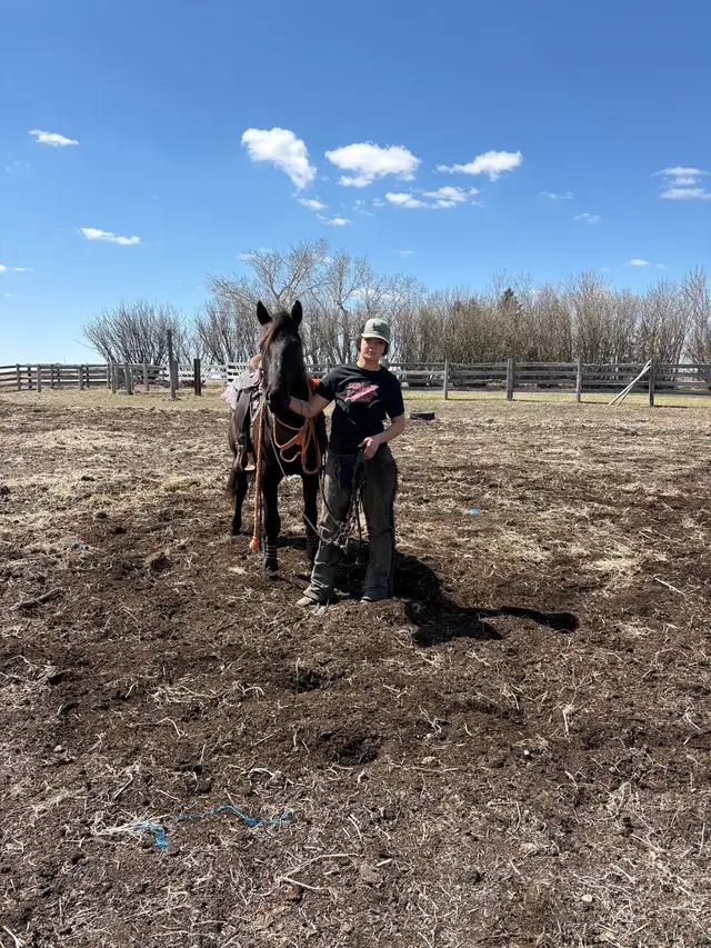 3 year old Colt - Photo 4