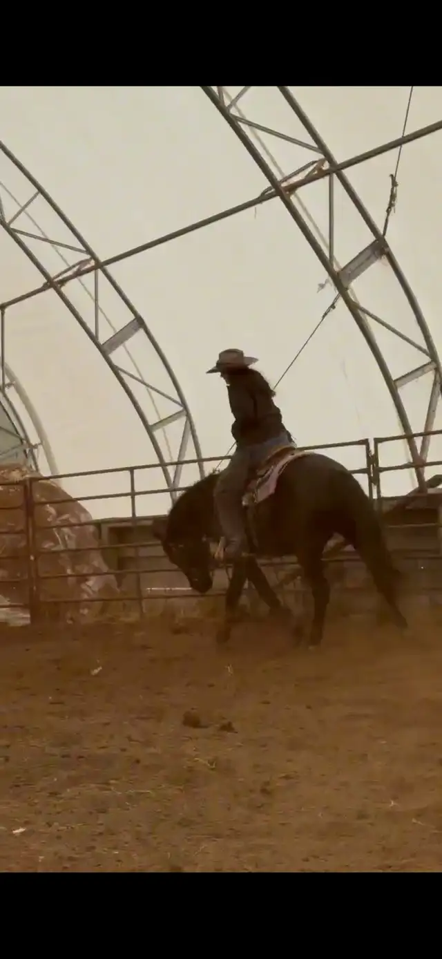 3 year old Colt - Photo 6