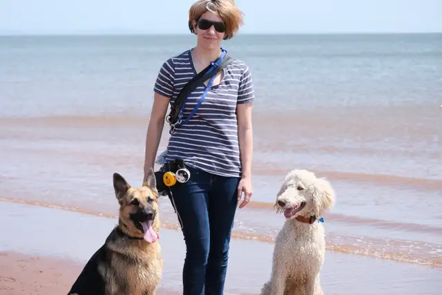 Board and Train - Any Breed, Any Size, Any Age - Photo 4