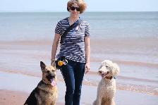 Board and Train - Any Breed, Any Size, Any Age - Photo 4