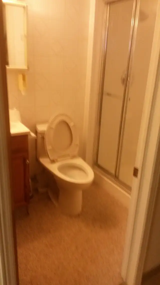 2 Rooms Available For Rent Near Seneca College (Newnham Campus) - Photo 8