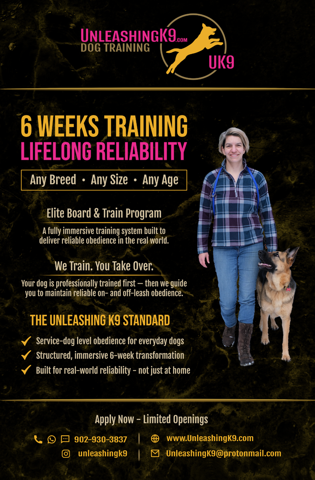 Board and Train - Any Breed, Any Size, Any Age - Photo 2