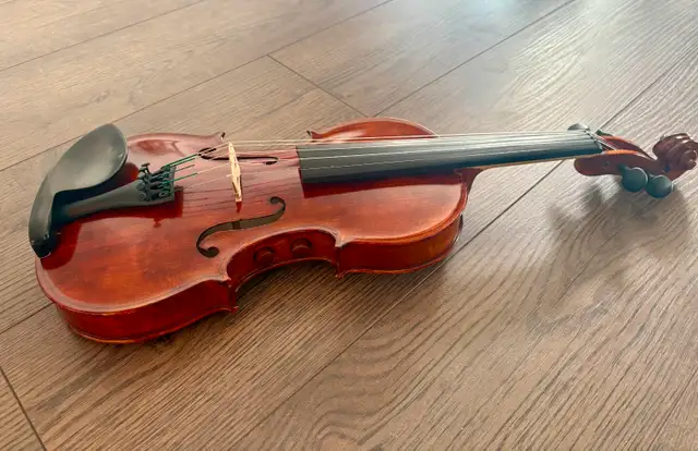 Violon électroacoustique professionnel 5 cordes David Gage
