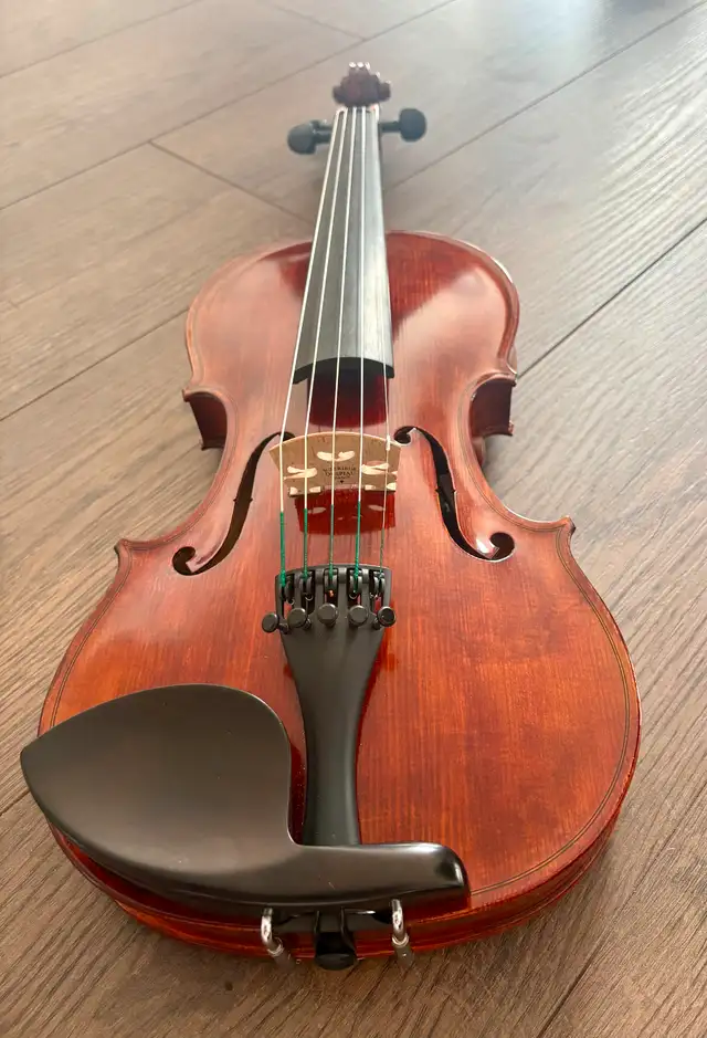 Violon électroacoustique professionnel 5 cordes David Gage - Photo 2