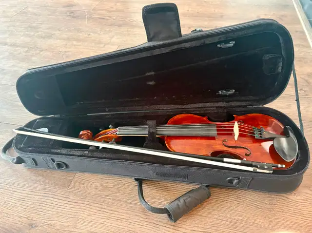 Violon électroacoustique professionnel 5 cordes David Gage - Photo 6