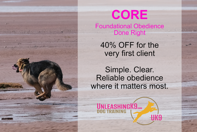 4 week Board & Train - Core Program Launch Special ! - Photo 3