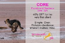 4 week Board & Train - Core Program Launch Special ! - Photo 3