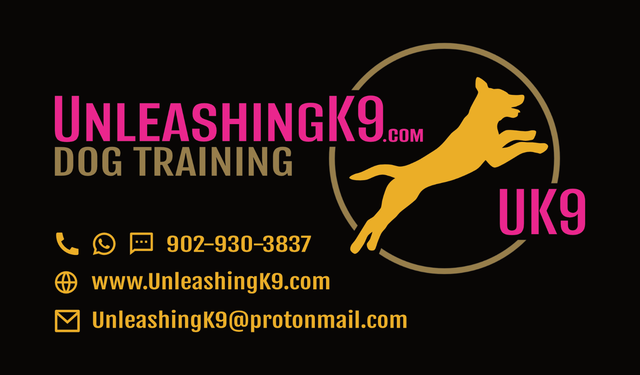 4 week Board & Train - Core Program Launch Special ! - Photo 4