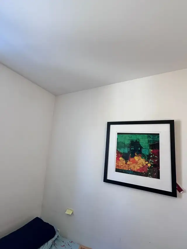 immediate sharing accommodation downtown Toronto - Photo 3