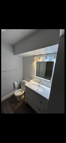 Inner City : bridgeland basement appartment for rent