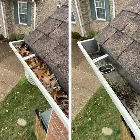 Gutter,Eavestrough, Junk Rubbish removal. - Photo 3