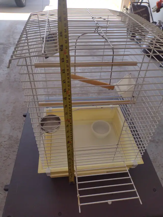 Bird Cage