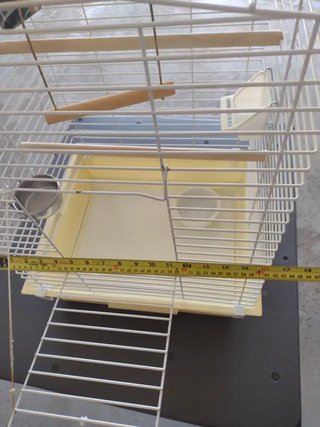 Bird Cage - Photo 2