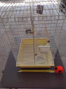 Bird Cage - Photo 3