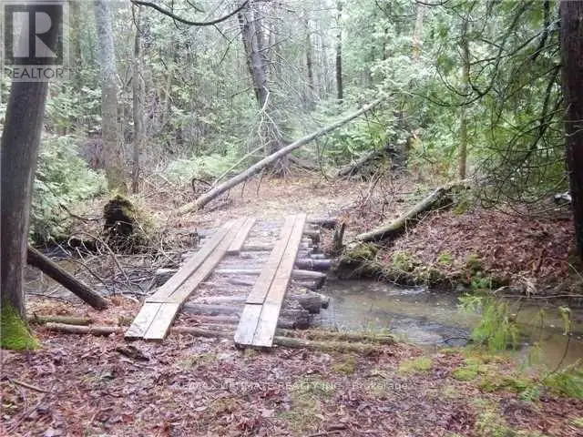 ✨ Scenic Rice Lake Retreat | 1 Acre Private Forest & Deeded Dock - Photo 4