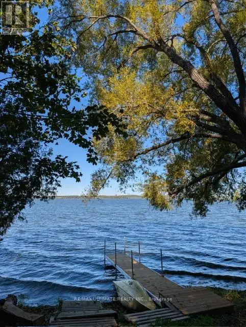 ✨ Scenic Rice Lake Retreat | 1 Acre Private Forest & Deeded Dock - Photo 7