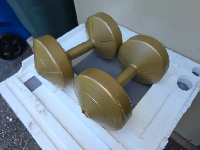 Two 10 lbs Plastic Dumbells Curling Weights