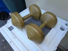 Two 10 lbs Plastic Dumbells Curling Weights