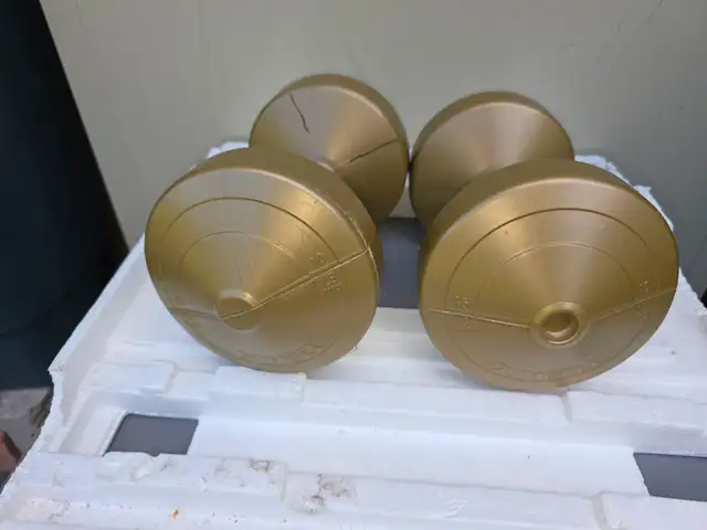 Two 10 lbs Plastic Dumbells Curling Weights - Photo 2