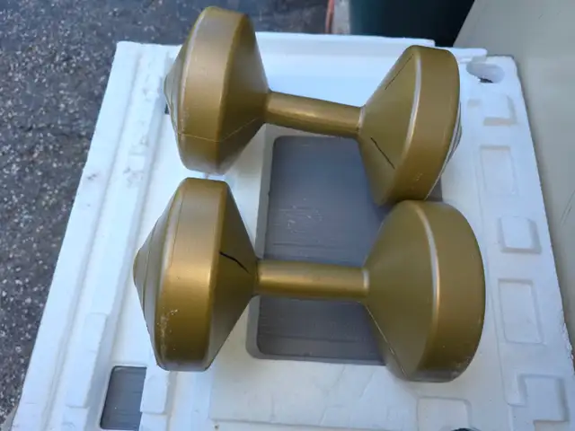 Two 10 lbs Plastic Dumbells Curling Weights - Photo 6