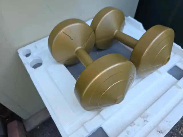 Two 10 lbs Plastic Dumbells Curling Weights - Photo 10